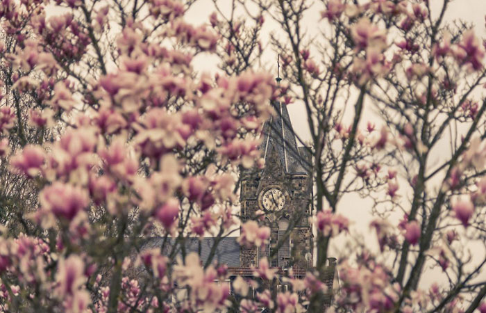 Bild bereitgestellt von eingetragener Firma